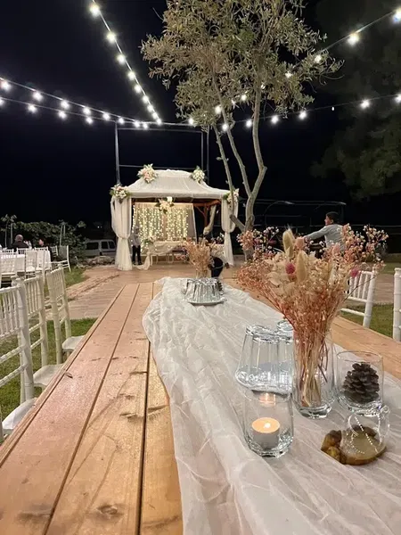 Pembe begonvil wedding - Photo 3
