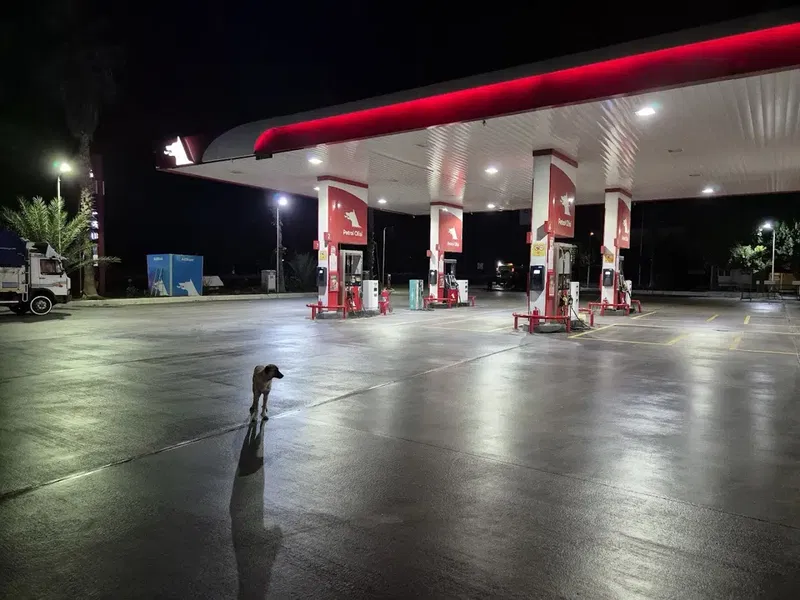 Petrol Ofisi - Photo 1