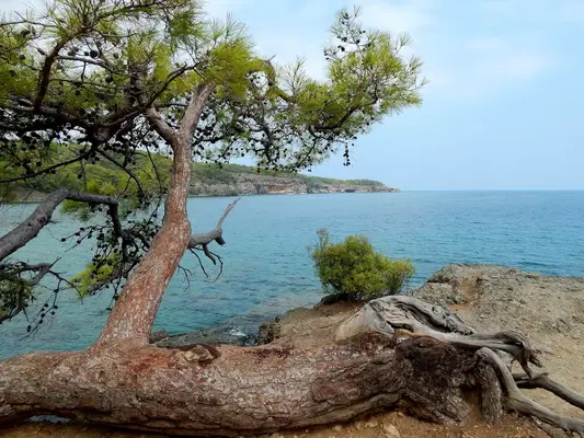 Phaselis beach