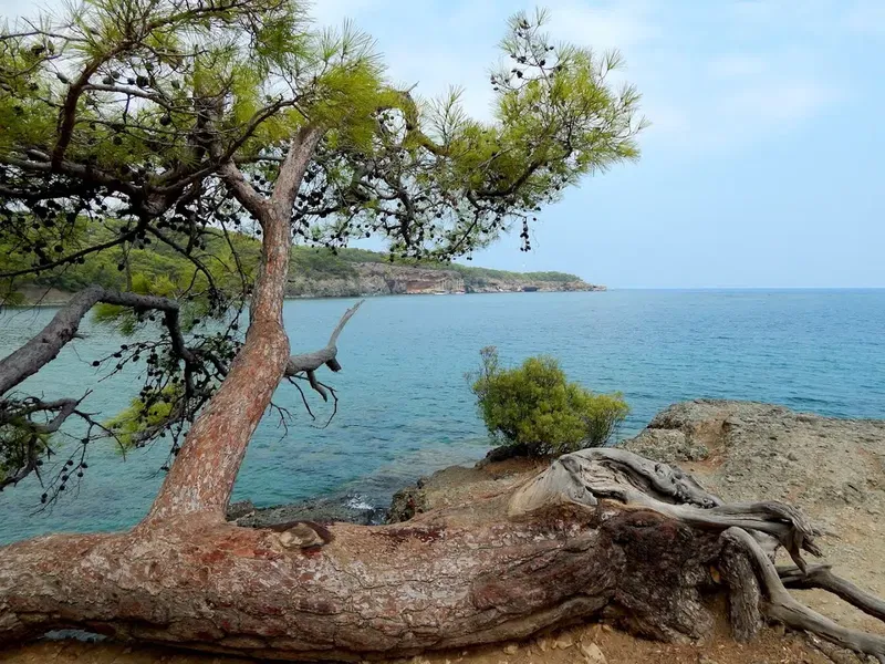 Phaselis beach - Photo 1