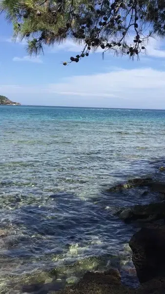 Phaselis Kuzey Demirleme Alanı - Photo 8