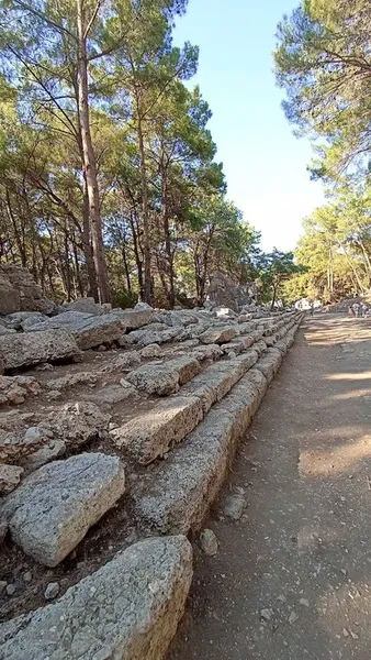 Phaselis Liman Kalıntıları - Photo 4