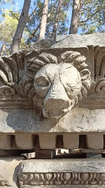 Phaselis Liman Kalıntıları - Photo 7