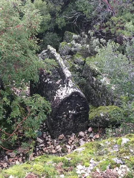 Phellos Antik Kenti - Photo 9