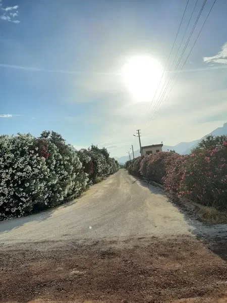 Piyadin yörükler mezarlığı - Photo 2