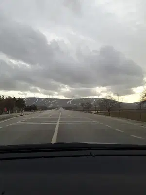 Polis Ormanı