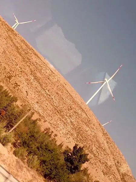 Polis Ormanı - Photo 4