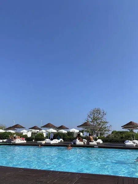 Pool Bar - Photo 4