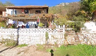 Portakal mozaik