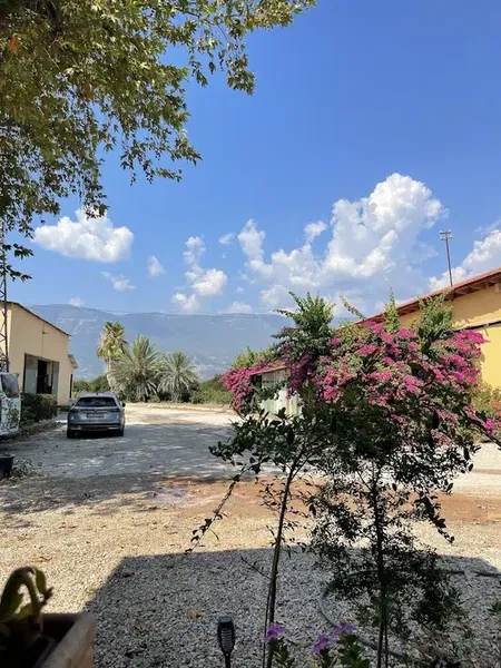 PortakalBahçem - Photo 7