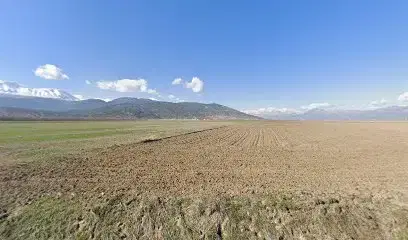 Potkal Tarim Üreti̇m Tesi̇si̇