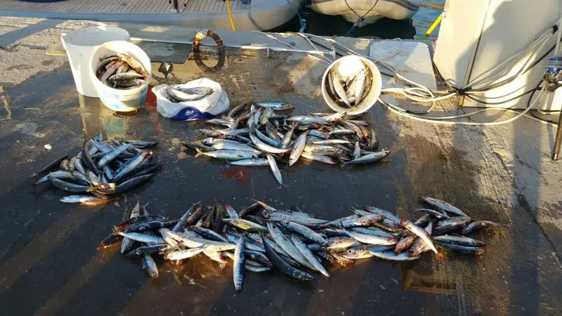 Antalya Fishing Shelter - Photo 7