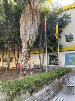 PTT kargo işleme merkezi