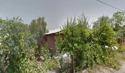 Pürmade Aromatik Yağlar A.Ş. - Photo 1