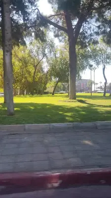 Pinarbasi Mahallesi Muhtarligi
