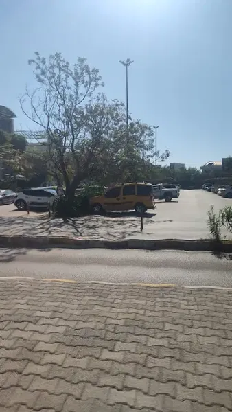 Pinarbasi Mahallesi Muhtarligi - Photo 5
