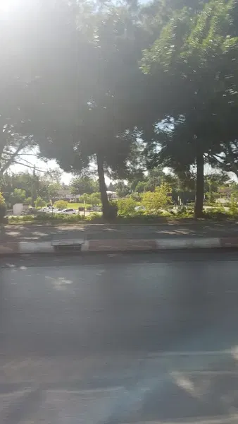 Pinarbasi Mahallesi Muhtarligi - Photo 8
