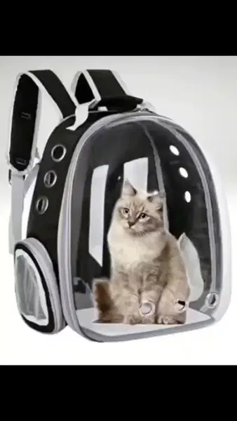 Pıtırcık pet shop - Photo 2