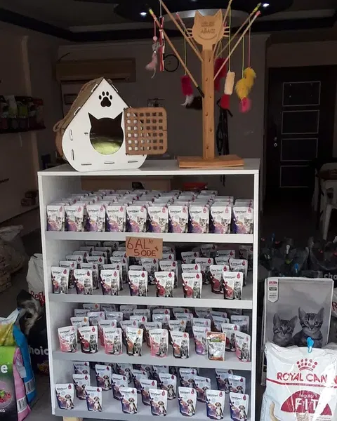 Pıtırcık pet shop - Photo 7