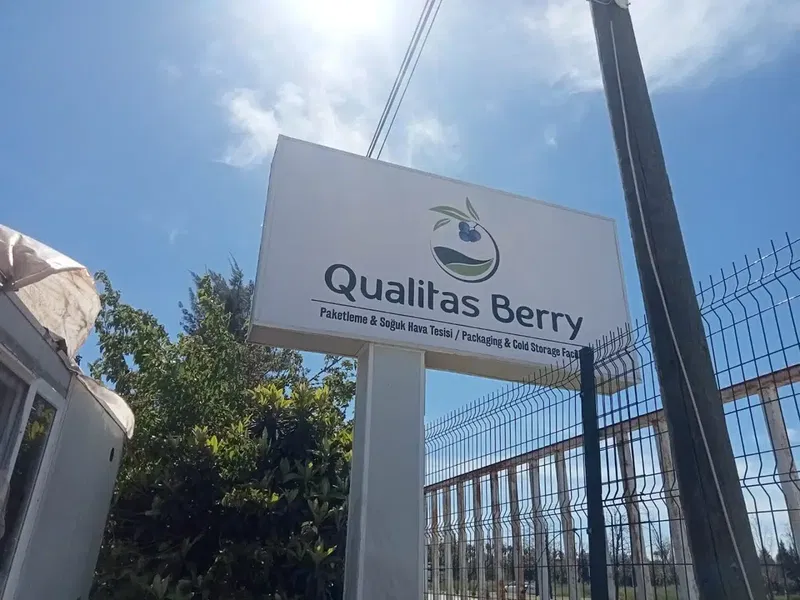 Qualitasberry paketleme ve soğuk hava tesisi - Photo 4