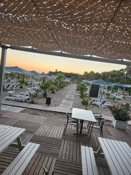Quanten- Paloma Oceana - Photo 1