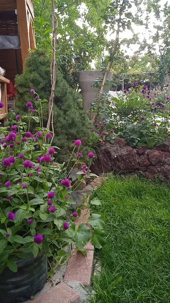 Rahmanın kulunun Bahçesi - Photo 5
