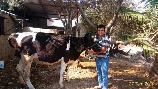 RAMAZAN DUMAN Çiftliği ve İşletmeciliği
