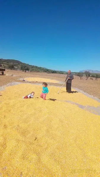 RAMAZAN DUMAN Çiftliği ve İşletmeciliği - Photo 3