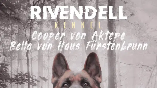 Rivendell Kennel