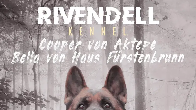 Rivendell Kennel - Photo 10