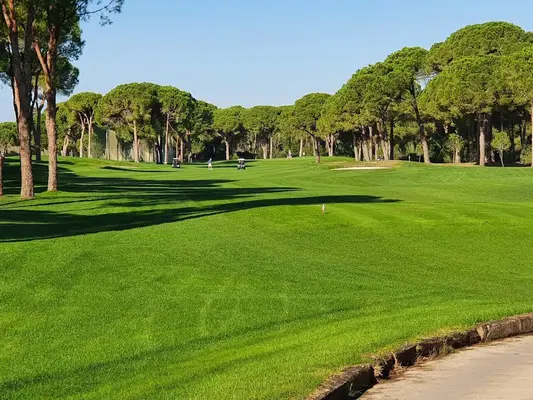Robinson Nobilis Golf Club