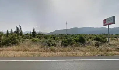 Ronaldo Anıtı