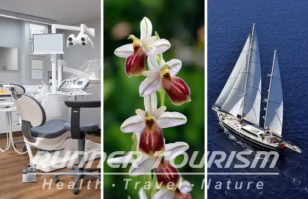Runner Tourism & Travel