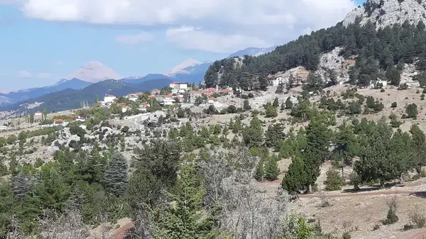 Rüzgarlıtepe Kuzca