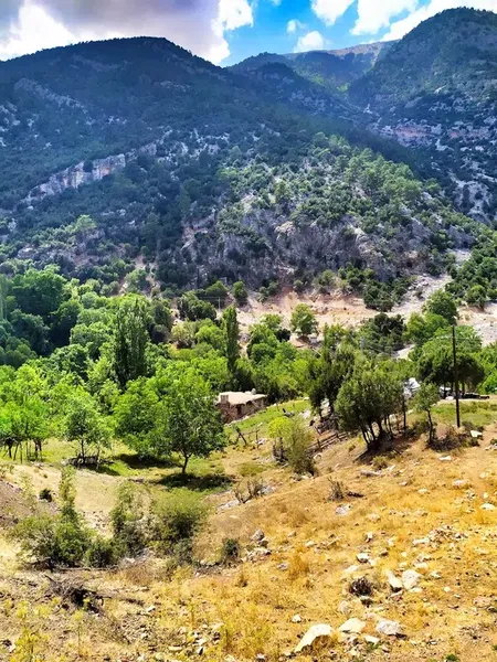 Rüzgarlıtepe Kuzca - Photo 2