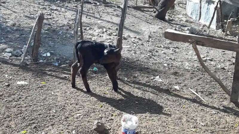 Rüzgarlıtepe Kuzca - Photo 6