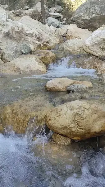 Rüzgarlıtepe Kuzca - Photo 7