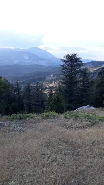 Rüzgarlıtepe Kuzca - Photo 10
