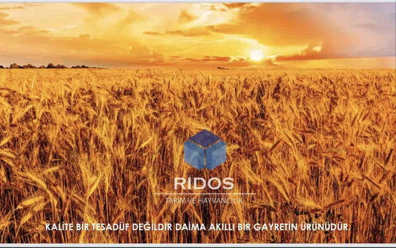 Rıdos Tarım - Photo 9