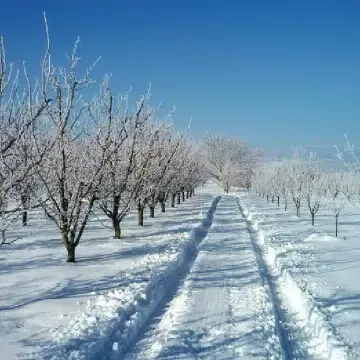 S Şi̇mşek - Photo 3