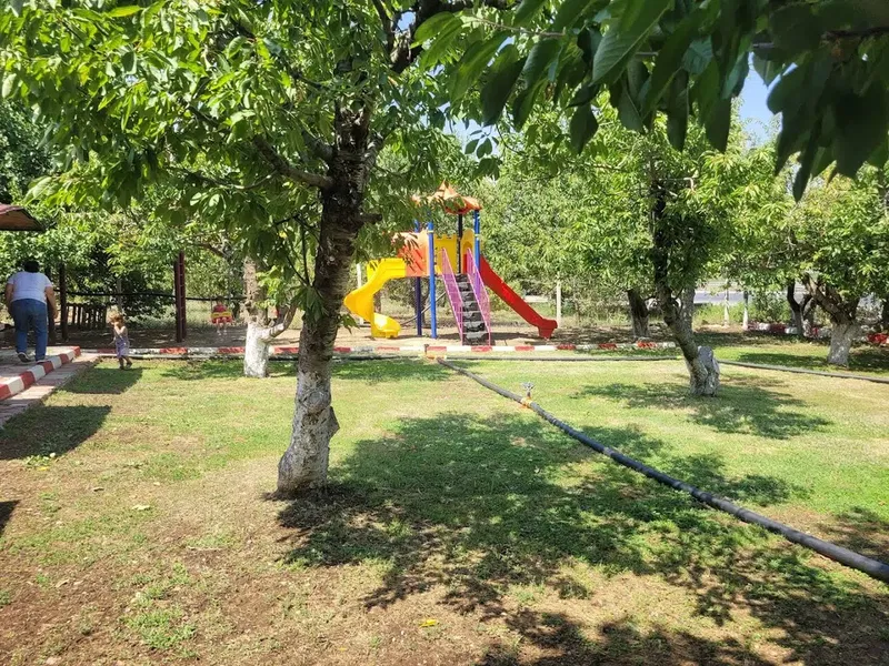 Saanen Keçili Bahçe - Photo 7