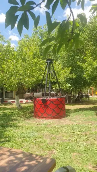 Saanen Keçili Bahçe - Photo 9
