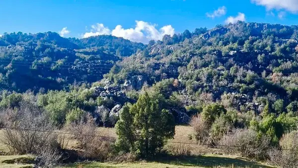 Sadıklar