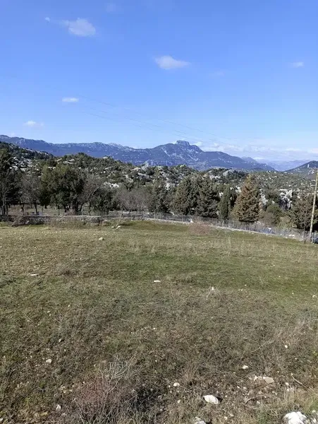 Sadıklar - Photo 3