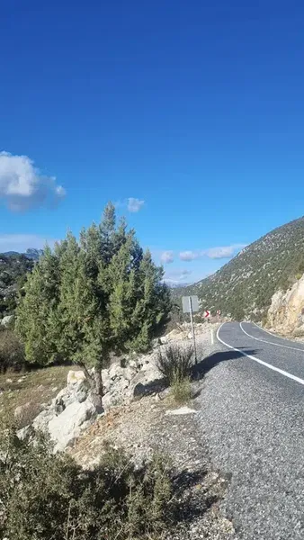 Sadıklar - Photo 4