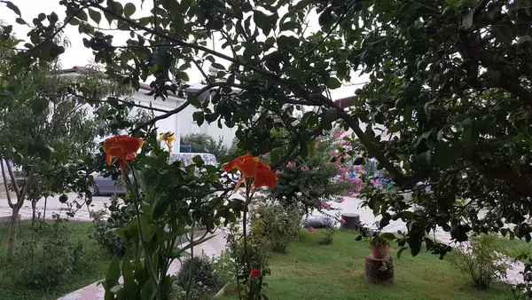 Sahil Buluşum Sitesi