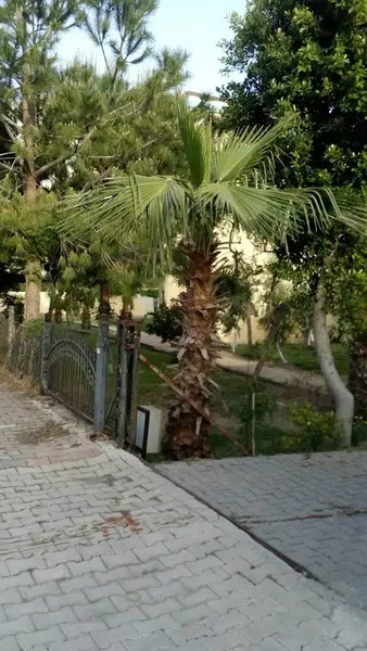 Sahil Buluşum Sitesi - Photo 3