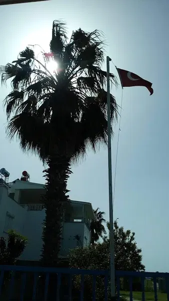 Sahil Buluşum Sitesi - Photo 8