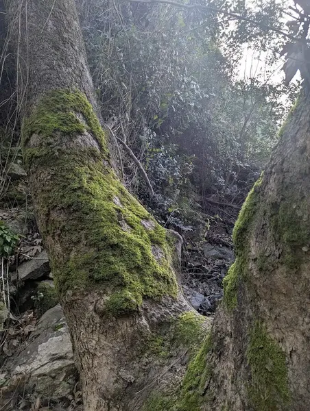 Saklı Vadi Şelalesi - Photo 4