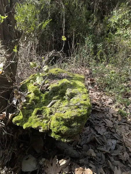 Saklı Vadi Şelalesi - Photo 6